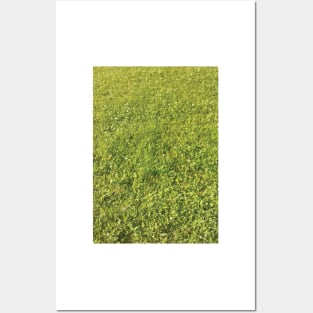 Texture - Green Grass Posters and Art